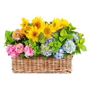 Цветы в корзинке с гортензиями